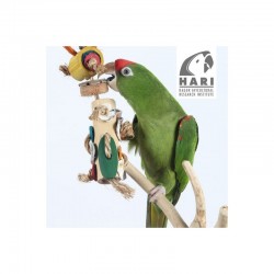 Juguetes Naturales para Pájaros Tesoros Rústicos HARI - Torre Bambú L