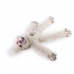 All For Paws Peluches Glamour Dog  