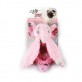 AFP Peluches Shabby Chic Dentales 