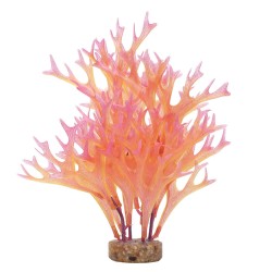 Fluval Aqualife Plant Variadas 20cm - Wisteria Rosa