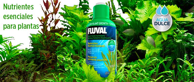 Nutrientes para plantas de Fluval: ¡Haz que tus plantas acuáticas brillen de salud!