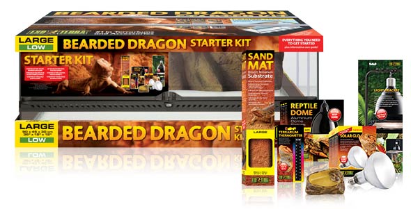 Bearded-dragon-starter-kit.jpg