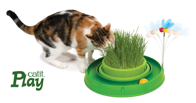Circuito verde Catit Play con germinador con hierba gatera