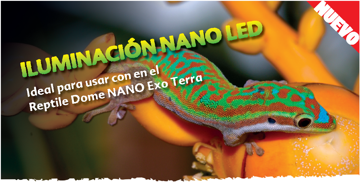 Banner web de la iluminación Nano LED de Exo Terra