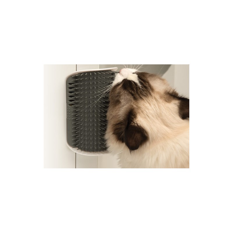 Entretenido masajeador de pared en el cual tu gato podrá darse el gusto de  frotarse y cepillarse. Simplemente une el cepillo a una superficie a la  altura, By Felinus.cl