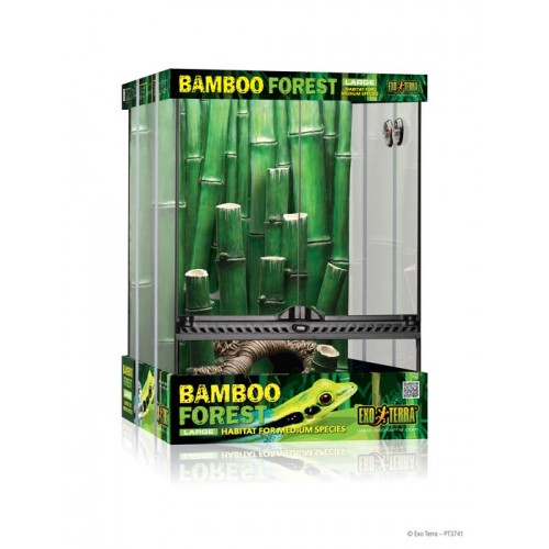  Kit Terrario Bamboo EXOTERRRA