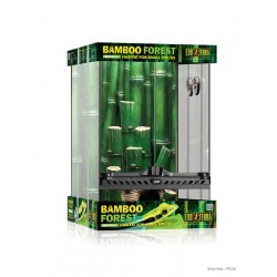  Kit Terrario Bambú EXO TERRA