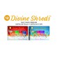 Catit Divine Shreds Multi pack 12 sobres