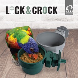 Comedero Lock & Crock Hari